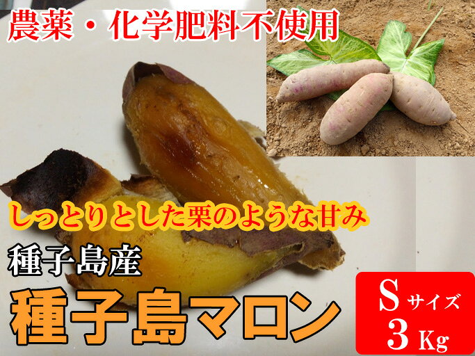 【送料無料】種子島マロン＜Sサイズ・種子島産＞（3Kg）雨ゆき農園産　農薬・化学肥料不使用