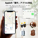 sai-store1:10000343のサンプル画像3