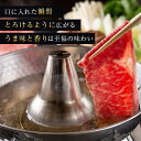 黒毛和牛 牛肉 切り落とし 売り切れ御免 A5等級 霜降り 1200g 200g×6 スライス メガ盛 送料無料 母の日 プレゼント ギフト 切りすぎちゃったので訳あり 3