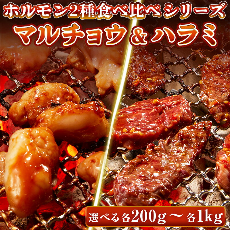 牛肉 ホルモン 特製味噌ダレ マルチョウ 特製たれ ハラミ 【選べる各200g-各1kg】 食べ比べセット もつ 丸腸 小腸 コプチャン サガリ 焼肉 焼肉用 BBQ バーベキュー 母の日 父の日 ギフト プレゼント