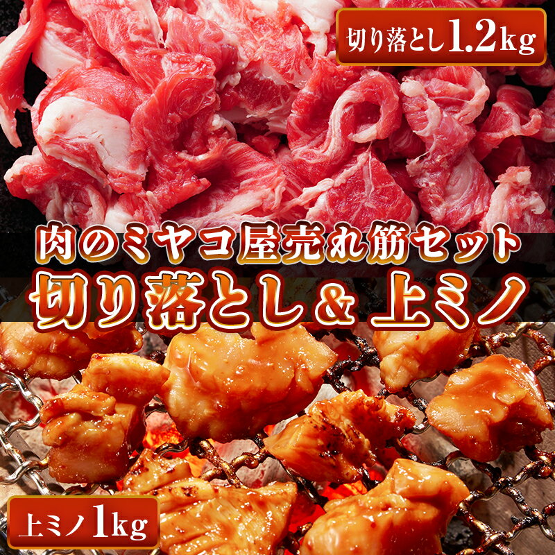 売れ筋セット 黒毛和牛 牛肉 切り落とし A5等級 霜降り 1200g(200g×6) ホルモン 味付 特製味噌ダレ 上ミノ 1kg(200g×…