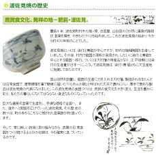 楕円皿大皿パスタ皿波佐見焼グレイッシュベリーオーバルプレート