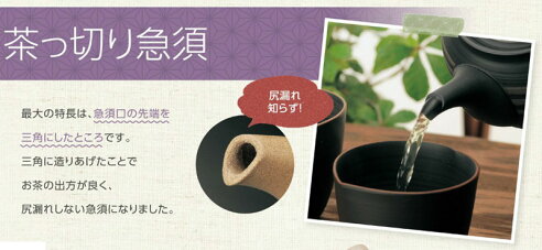 急須常滑焼機能急須(茶っ切り急須)玉光作480ccセラメッシュ【ポイント10倍】
