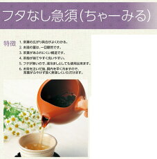急須常滑焼フタなし急須ちゃーみるエム網320cc