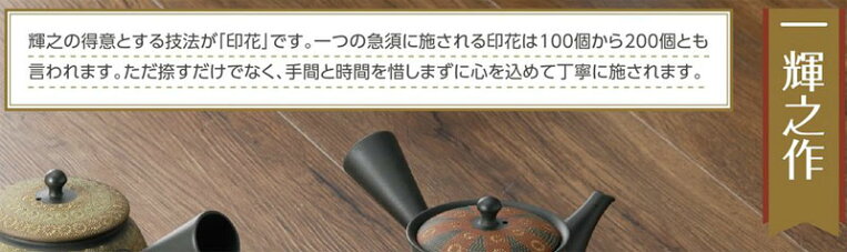 急須常滑焼磯部輝之作黒十草印花ささめ300cc