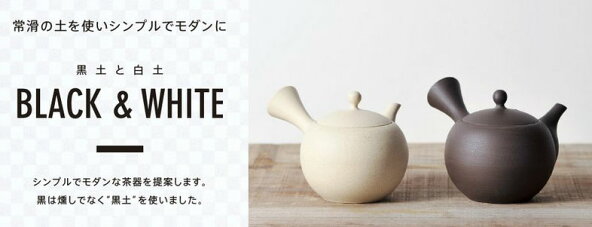 急須常滑焼人水作Maruko急須セラメッシュ黒土260cc
