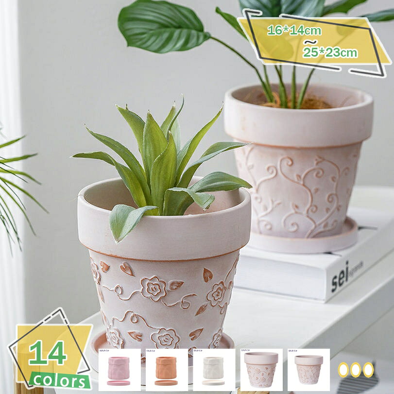 楽天市場】鉢植え オリーブ 屋外（植木鉢・プランター｜ガーデニング