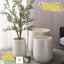 多肉植物 プランター 丸型 植物用プラントポット 庭園の装飾 かわいい 観葉植物 おしゃれ 多肉容器 排水孔付き 植木鉢 ガーデン用品 ポット 屋内 室内 花瓶 園芸 鉢 寄せ植え サボテン 大型 人工 植物 おしゃれな植木鉢 RaogtCYU