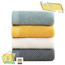 1000円OFFクーポン ソフト フェイスタオル 綿 かわいい セット 薄手 乾きやすい 速乾 吸水性 かわいい おしゃれ カラフル バス お風呂 洗面所 プー...