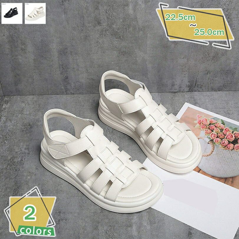 500��OFF�����ݥ� ������� ��ǥ����� �����å������� �ץ�åȥե����� ���ȥ�å� ���� ��� ������� �ӡ����� ���ޡ��֡��� �����ץ�ȥ� ����ǥ�...