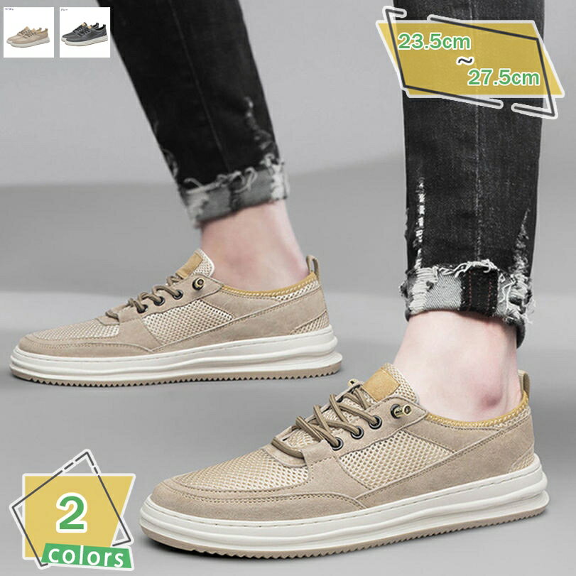 2000OFFݥ 졼å ܳ 奢륷塼    å ȥܡɥ塼  ̳ ǥå塼  å...