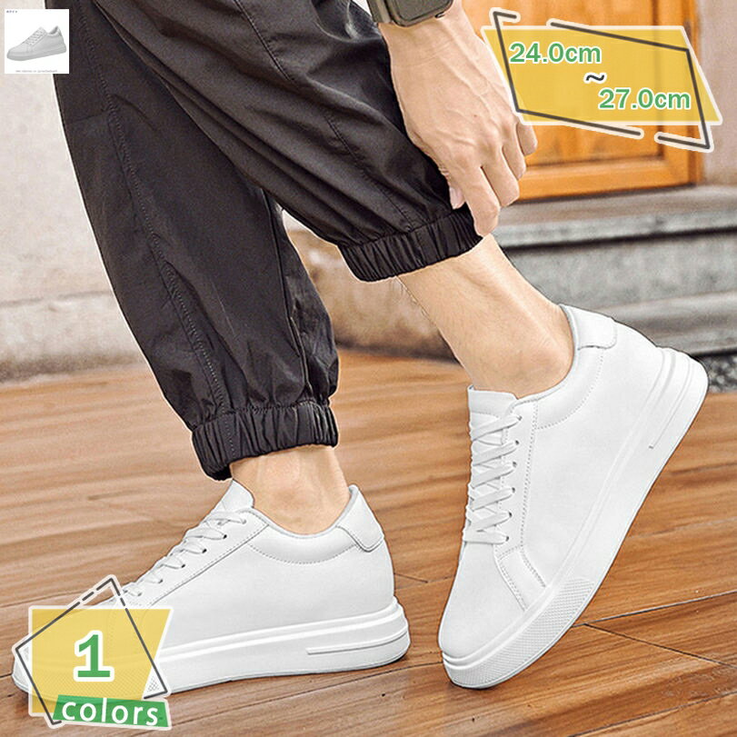 1000OFFݥ ȥܡɥ塼  ˡ 奢륷塼 ǥå塼   ʤ ɿ 졼å 饦...