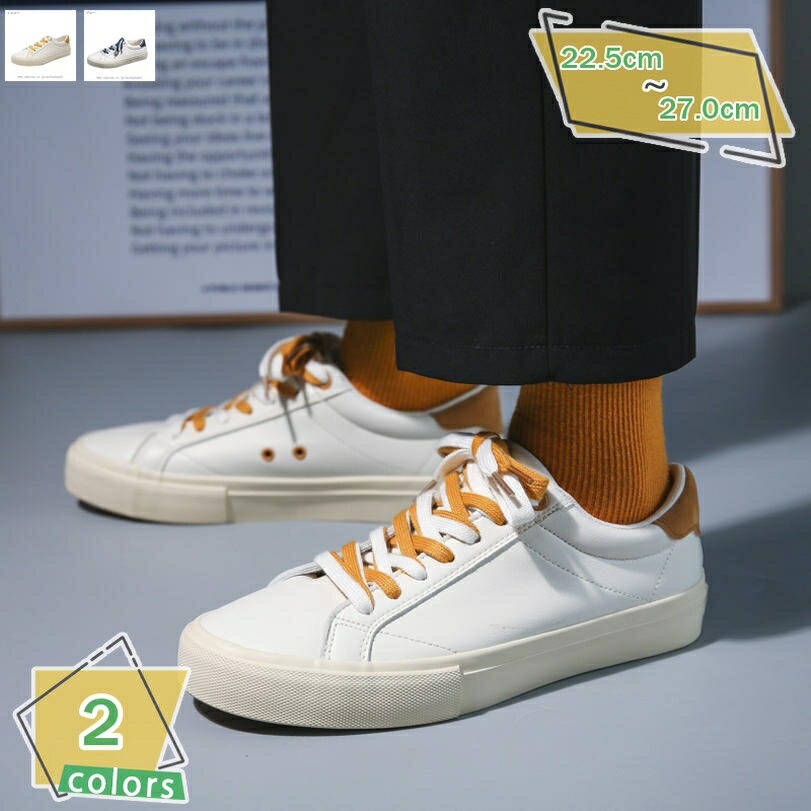 1000OFFݥ 奢륷塼  ǥå塼 ̳ ̶   ̵ ˡ å 졼å ׷ ݡ...