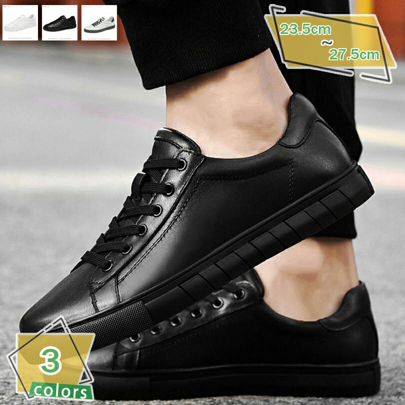 2000OFFݥ ˡ  奢륷塼 å  ̵ ǥå塼 졼å  ץ ̳ ̶ ݡ...