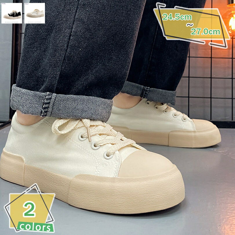 1000OFFݥ ǥå塼  Х 奢륷塼 졼å   ܡ ɳ å ߤ  ...