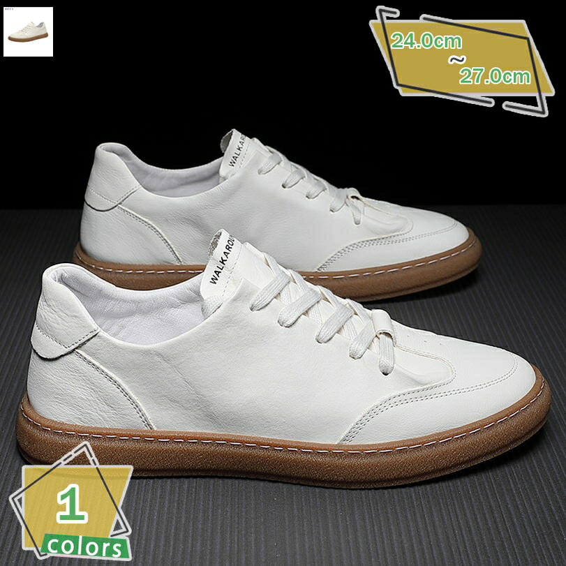 1000OFFݥ ˡ ӥͥ塼  ̳ ǥå塼 å եå 󥰥塼 ȥɥ 奢 礭...