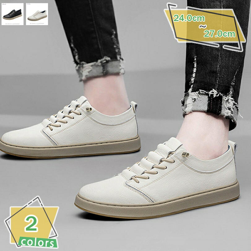 1000OFFݥ ˡ  奢륷塼 礭 졼åץ塼  ǥå塼 å ȥܡɥ塼...