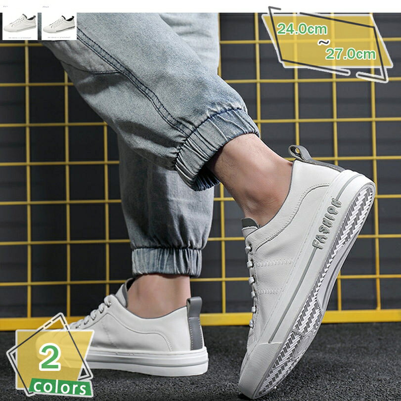 1000OFFݥ  ˡ  礭 å  ǥå塼 奢륷塼 ̳ Ż 󥰥塼 ̵ ...