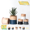 鉢植え 植木鉢 プランター セラミック製 北欧 シンプル 円筒形 排水孔付き トレイ付き 通気性 おしゃれ ins風 木目 クリエイティブ 室内 事務室 置物 ...