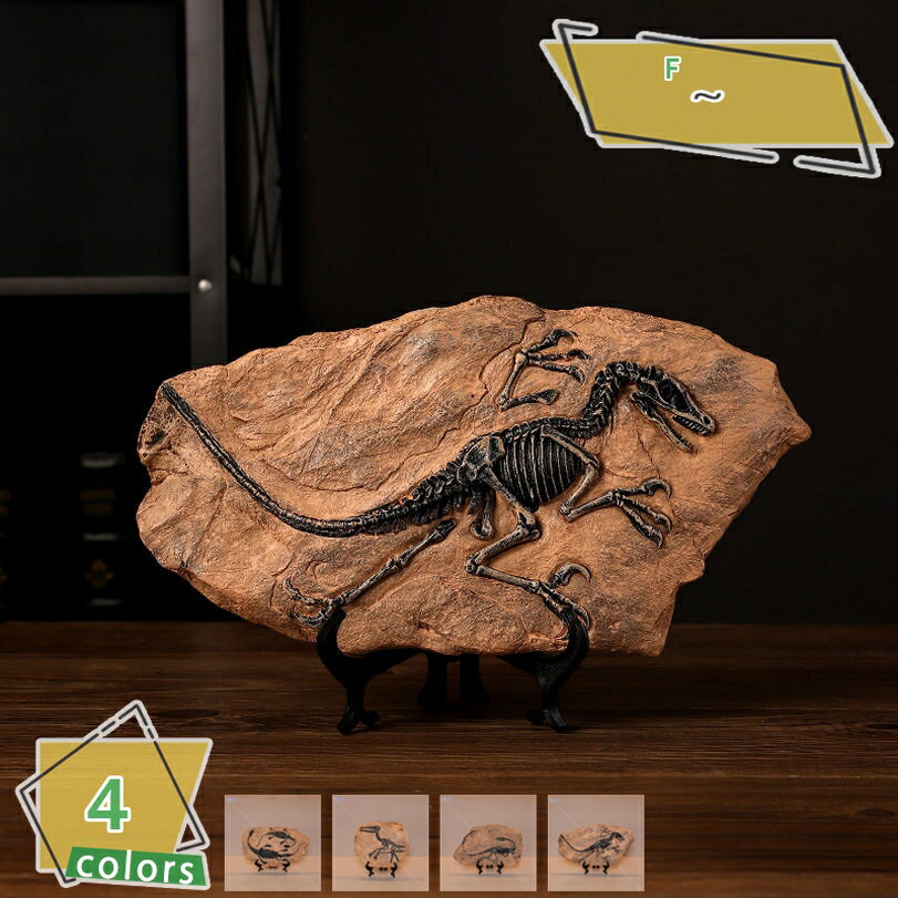 500円OFFクーポン 恐竜のオブジェ 北欧 インテリア オブジェ 卓上 シンプル デコレーション 置物 北欧..