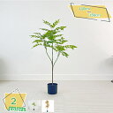 大型 人工観葉植物 観覧植物 熱帯観葉樹 フェイクグリーン 簡単世話いらず 鉢は取り外し不可 インテリア 屋内 リビング オフィス デコレーション 庭園 オフィ...