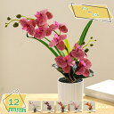 1600円OFFクーポン 観葉植物 ミニ インテリアグリーン 造花 かわいい まあるい フェイクグリーン ユーカリ 造花 鉢植え デスクサイド オシャレ ミニプ...