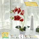 760円OFFクーポン ミニ 人工観葉植物 卓上置物 デスクサイド オシャレ ミニプランター 観賞用 新築祝い 開店祝い 開業祝い 室内 母の日 父の日 敬老の日 お祝い ギフト おしゃれ 水やり不要 インテリア シルクフラワー 人工観葉植物 RaogtCYU