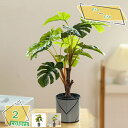 460円OFFクーポン 観葉植物 ミニ 観葉植物 フェイクグリーン 装 インテリア 植物鉢植え プレゼント 卓上 かんたん癒やし空間 ガーデニング お世話不要 ...