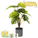 760円OFFクーポン 人工観葉植物 ミニ観葉植物 造花 小さい マルチカラー ミニ お祝い ギフト プレゼント 誕生日 開店 開院祝い お見舞い 人工観葉植物 卓上 鉢植 インテリア 小型 フェイク シルクフラワー 人工観葉植物 ミニプランター RaogtCYU