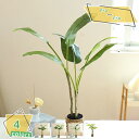 760円OFFクーポン 人工観葉植物 フェイクグリーン 観葉植物 フェイク 造花 ミニ インテリア 贈り物 造花 インテリア グリーンミニポット グリーン 観葉植物 人工観葉植物 テーブル 玄関 窓側 リビング 棚 オフィス 飾り 観賞用盆栽 造花 RaogtCYU