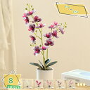 760円OFFクーポン 造花 人工観葉植物 胡蝶蘭 部屋飾り 人工観葉植物 鉢植え 花鉢 造花 母の日 ギフト 父の日 プレゼント撮影 お祝い 人工植物 プラスチック製 家庭 オフィス飾り用 テーブル インテリア シルクフラワー 人工観葉植物 RaogtCYU