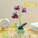 460円OFFクーポン フェイクグリーン 人工観葉植物 観葉植物 フェイク 観葉植物 鉢植え インテリア 可愛い 小さい 人工 インテリア飾り 父の日 母の日 ...