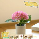 760円OFFクーポン フェイクグリーン 人工観葉植物 観葉植物 フェイク 観葉植物 鉢植え インテリア 可愛い 小さい 人工 インテリア飾り 父の日 母の日 プレゼント 新築祝い ギフト お祭り 贈り物 観葉植物 フェイク小型 人工観葉植物 RaogtCYU