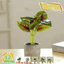 460円OFFクーポン ミニ観葉植物 フェイクグリーン 人工観葉植物 飾り かわいい インテリア フェイク おしゃれ ミニ 人工観葉植物 フェイクグリーン イン...