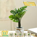 460円OFFクーポン 観葉植物 ミニ 鉢植え 小さい フェイクグリーン 人工観葉植物 卓上 フェイク小型 インテリア飾り 水やり不要 お世話不要 新築祝い 母の日 父の日 ギフト お祭り 贈り物 ミニ 観葉植物 丸型 人工観葉植物 プレゼント RaogtCYU