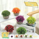 760円OFFクーポン 観葉植物 リアル 人工観葉植物 フェイクグリーン ミニポット デスクサイド アレンジメント 本物みたい テーブル 玄関 窓側 リビング オフィス 飾り オシャレ ミニプランター 観賞用 プレゼント 贈り物 人工観葉植物 RaogtCYU