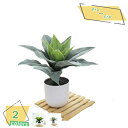 460円OFFクーポン アロエ 人工観葉植物 インテリア ミニ 人工観葉植物 和風 卓上 ミニ プレゼント ギフト 卒業式 誕生日 ウェディング 飾り 撮影 美術館 ホーム 庭園 キッチン オフィス パーティー 小さいミニ 鉢植え 盆栽 人工観葉植物 RaogtCYU