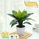 760円OFFクーポン フェイクグリーン 観葉植物 人工観葉植物 造花 インテリア グリーン お世話不要 プレゼント 小さい 枯れない 造花 コンパクト ラウンドポット 丸型 イミテーショングリーン 卓上 デスク 机上 インテリア プレゼント RaogtCYU