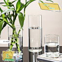 760円OFFクーポン 花瓶 おしゃれ 広口 透明 フラワーベース かびん シンプル 花器 一輪挿し vase ガラス フラワーベース クリア花瓶 円筒型 花ビン 観葉植物 円柱 花活け 生花 丸形 クリア インテリア ベース 贈り物 ガーデニング RaogtCYU