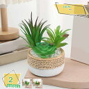 460円OFFクーポン フェイクグリーン 可愛い フェイク多肉植物 人工多肉植物 本物そっくり ミニ鉢 ミニ人工植物 卓上 家庭 オフィス バスルーム デスク ...