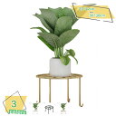 1600円OFFクーポン 直径30CM 花台 アイアン フラワースタンド 観葉植物 植木鉢台 猫脚付鉢置き プレート 飾り台 ガーデニング アンティーク 室内 ...
