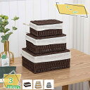 500円OFFクーポン 収納 バスケット ペーパーバスケット フタ付き 約 幅26×奥行20×高さ11cm 収納かご カゴ 籠 小物入れ 小物収納 収納ケース ...