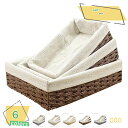 1000円OFFクーポン 収納 バスケット ペーパーバスケット フタ付き 約 幅35×奥行25×高さ9cm 収納かご カゴ 籠 小物入れ 小物収納 収納ケース ...