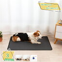 300円OFFクーポン ペット用おしっこマット ペット 犬 マット 洗える 大型 抗菌 ペットマット 防滑 防音 消臭 椅子傷防止 おしゃれ カーペット 防水 滑らない 消臭保護マット 大判 フロアーマット pvcマット 怪我防止 おしっこマット(2枚セット) RaogtCYU
