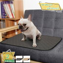 500円OFFクーポン ペット用おしっこマット 繰り返し利用可 犬・猫用トイレマット ペットシーツ トイレシート ペットマット トイレ下敷きマット 防水 速乾 制菌 洗える 消臭 滑り止め 介護 消臭保護マット フロアマット (2枚セット) RaogtCYU