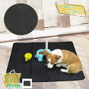 500円OFFクーポン ペット用 おしっこマット ペットシーツ 犬用 トイレマット ペットマット 犬 猫 トイレシート 洗える 速乾 防水シート おしっこマット 滑り止め 漏れ防止 吸水マット 重複利用 トイレ用品 子猫 子犬 (2枚セット) RaogtCYU