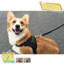 300円OFFクーポン 犬 ハーネス 小型犬 中型犬 かわいい おしゃれ 犬用 胴輪 犬ハーネスリードセット 負担が少ない 抜けない 犬具 しっかりロック メッシュ 抜けにくい 簡単装着 イヌ ドッグ いぬ お出かけ 散歩 外出 通院 ペット 服 RaogtCYU