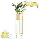 1600円OFFクーポン 金属植物フラワースタンド 植物展示棚 リビングルームの寝室のバルコニー装飾フロアスタンド モダンな家の装飾 コーナー配置 ゴールド 花...