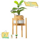1000円OFFクーポン フラワースタンド 竹製 植木鉢 ガーデニング 室内 室外 フラワーブック 花台 スタンド おしゃれ 花台 北欧 鉢置き 園芸 ベランダ...