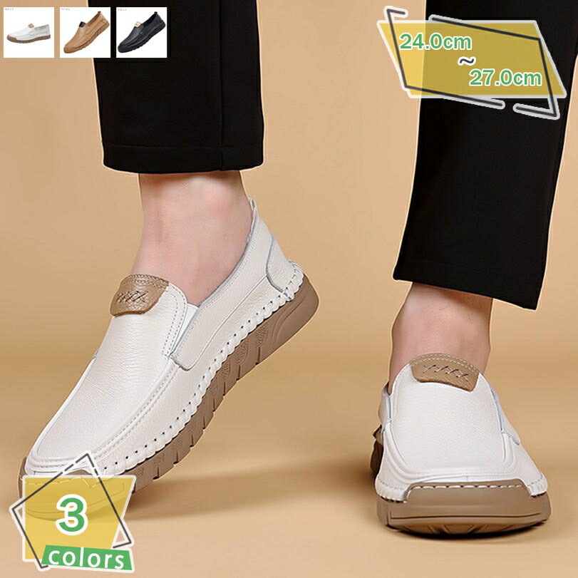 760OFFݥ ɥ饤ӥ󥰥塼  ݡĥ  »η 奢 ե ⥫ ˡ  ̵ ɥ...
